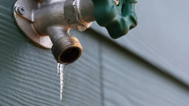 Best Drain Cleaning Services  in Dunnavant, AL