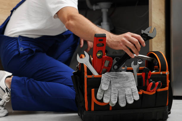 Best Plumbing Inspection Services  in Dunnavant, AL